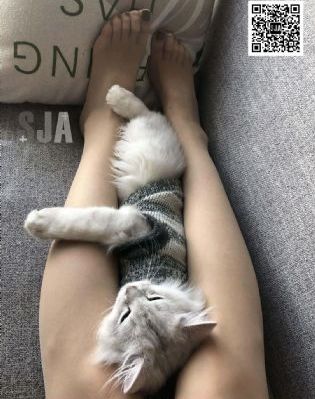 大明风华1至62集免费_HD超清免费观看