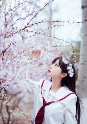 电锯人樱花动漫_蓝光在线视频观看
